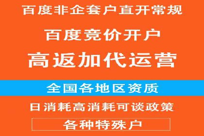 竞价推广实战案例：网络营销秘诀